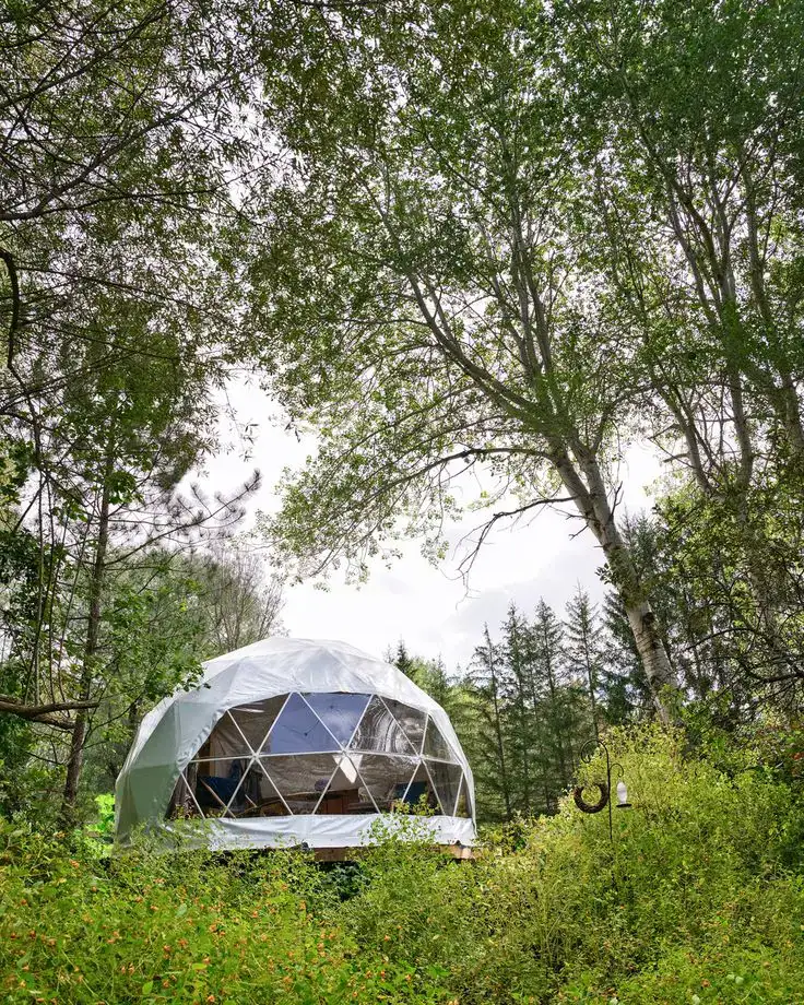 A luxury glamping geodesic dome in the forest.